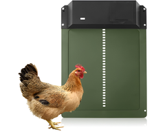 Chicken door for ducks and geese