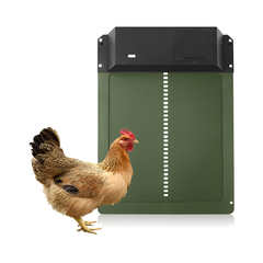 Automatic chicken coop door