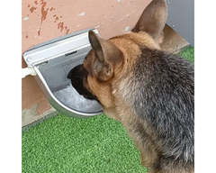 Automatic Drinking Bowl Water Trough Bowl