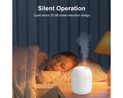 Small Humidifier 220ml USB Portable Air Humidifier with Night Light 2 Mist Modes