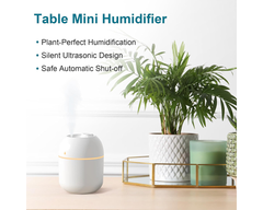 Small Humidifier 220ml USB Portable Air Humidifier with Night Light 2 Mist Modes