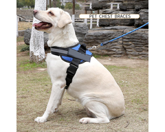Adjustable Dog Harness