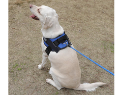 Adjustable Dog Harness