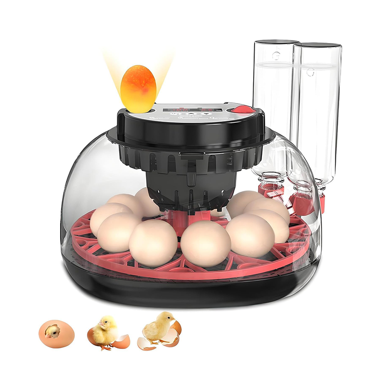 12 eggs incubator front view