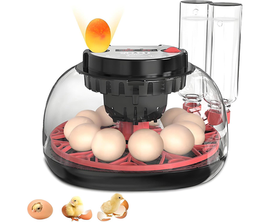 Egg Incubator Hatcher