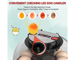 Egg Incubator Hatcher