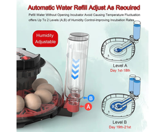 Egg Incubator Hatcher