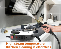 Handheld 2500W Steam Cleaner High Temperature Pressurized