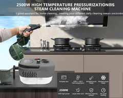 Handheld 2500W Steam Cleaner High Temperature Pressurized