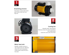 SPA Pool Pump Bath Pump 2.00HP