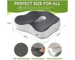 Cushion & Lumbar Support Pillow Set