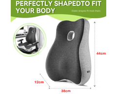 Cushion & Lumbar Support Pillow Set