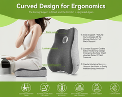 Cushion & Lumbar Support Pillow Set