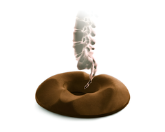 Memory Foam Donut Seat Cushion