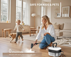 Handheld 2500W Steam Cleaner High Temperature Pressurized