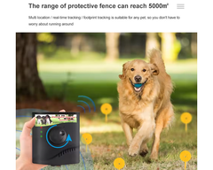Electric Dog Fence System