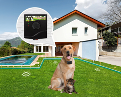 Electric Dog Fence System