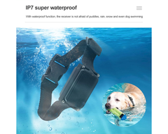 Electric Dog Fence System