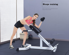 Roman Chair Adjustable Roman Chair Hyperextension Bench