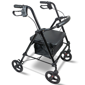 Adult Walking Frame Mobility Walker