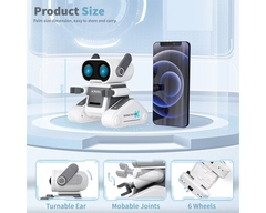 Remote Control Toy Robots