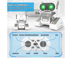 Remote Control Toy Robots