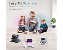 Remote Control Toy Robots