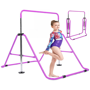 Gymnastics Training Bar Purple
