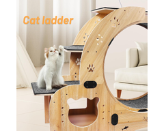 Cat Wheel Exercise