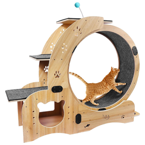 Cat Wheel Exercise