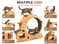 Cat Wheel Exercise