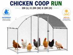 Outdoor Chicken Coop