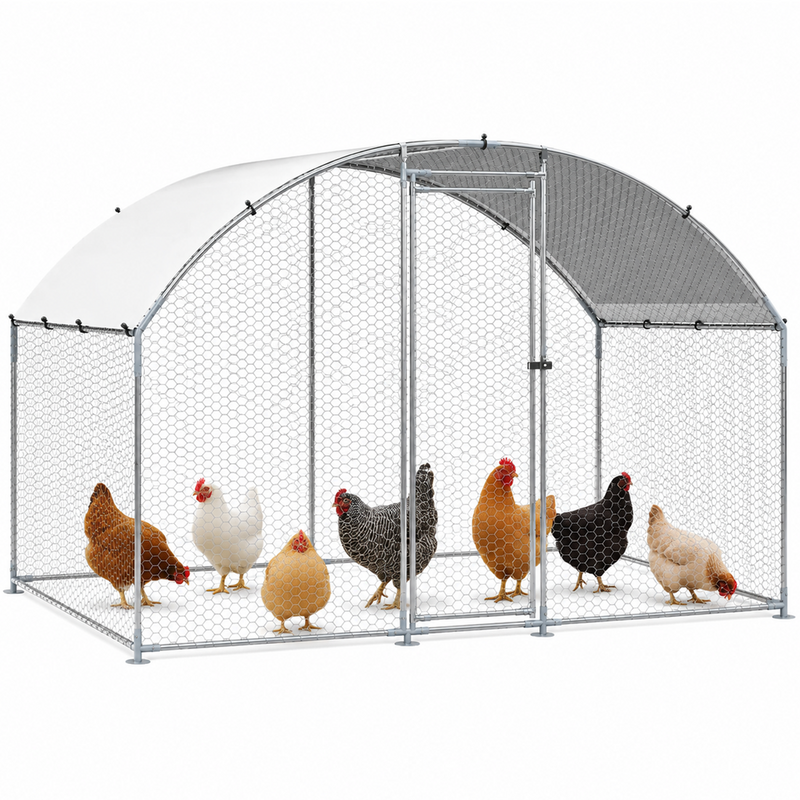 Outdoor Chicken Coop