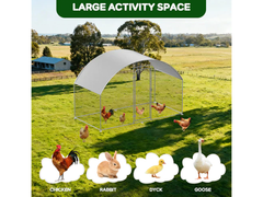 Outdoor Chicken Coop