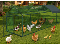 Outdoor Chicken Coop Run