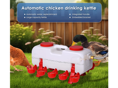 Chicken Water Feeder