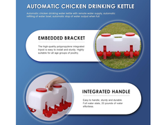 Chicken Water Feeder