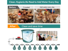 Chicken Water Feeder
