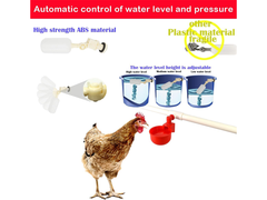 Chicken Water Feeder