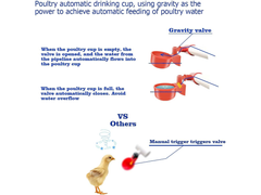Chicken Water Feeder