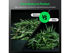 Manual Bud Leaf Trimmer