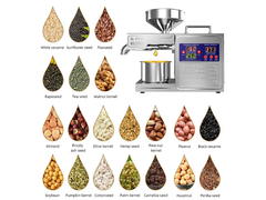 Oil Extraction Machine