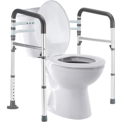 Toilet Safety Rails