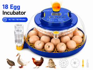 18 Eggs Incubators