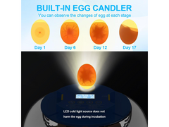 18 Eggs Incubators