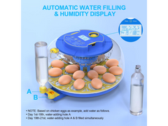 18 Eggs Incubators