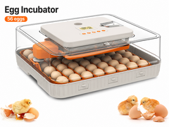 Egg Incubator