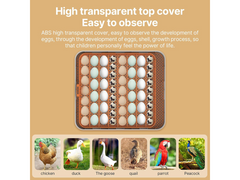 Egg Incubator