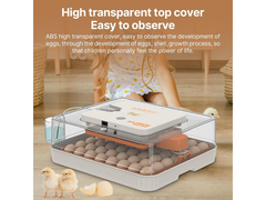 Egg Incubator