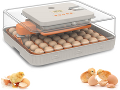 Egg Incubator
